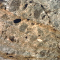Zenolith in granite I93 cut