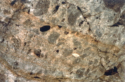 Zenolith in granite I93 cut
