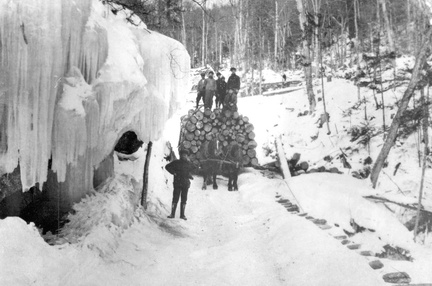 Winter logging