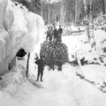 Winter-logging2A