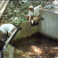 Weir 1 Cleaning (1995)