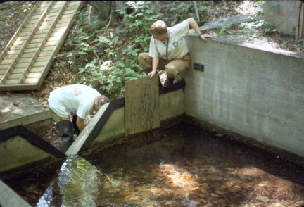Weir 1 Cleaning (1995)