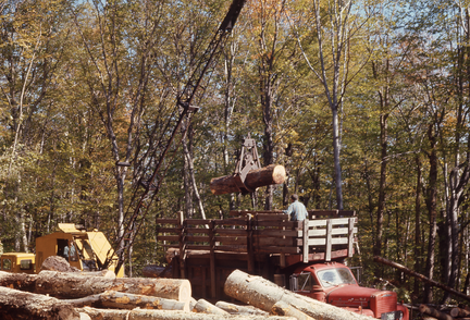 Watershed 4 logging