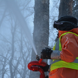 Ice Storm Experiment