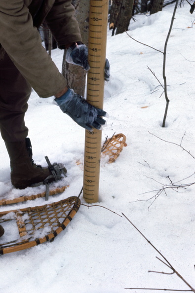 Using an Adirondack snow sampling tube at Hubbard Brook in 1973 snow 2 april 1973.jpg