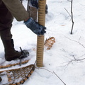 snow 2 april 1973