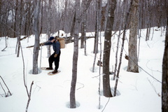 snow 2 april 1956