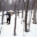 snow 2 april 1956