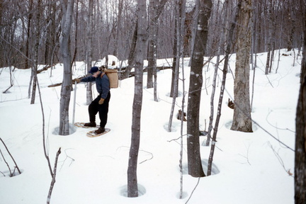 snow 2 april 1956