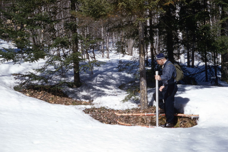 snow 1 april 1956.jpg